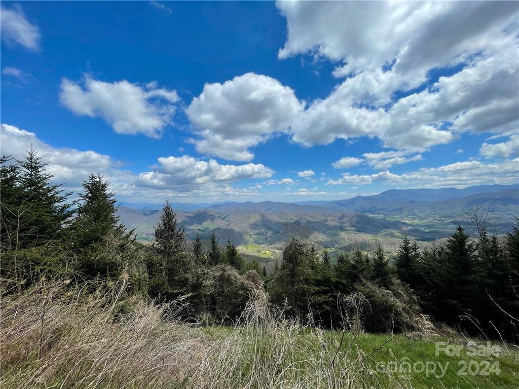 1375 Swing Road Burnsville, NC 28714 - Photo 19 of 48 a view of a lot of trees