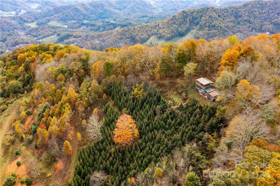 1375 Swing Road Burnsville, NC 28714 - Photo 2 of 48