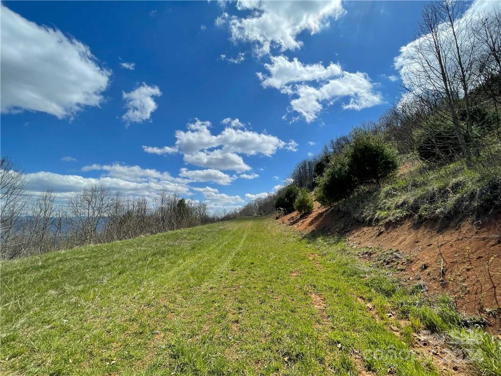 1375 Swing Road Burnsville, NC 28714 - Photo 39 of 48 a view of a flower in a yard