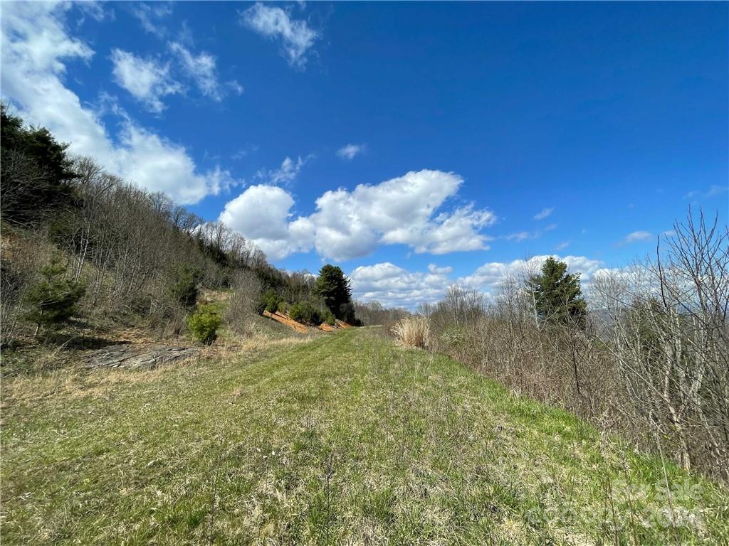 1375 Swing Road Burnsville, NC 28714 - Photo 40 of 48 a view of a bunch of trees in front of house