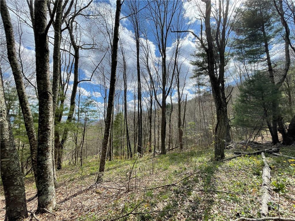 1375 Swing Road Burnsville, NC 28714 - Photo 41 of 48 a backyard of a house with lots of green space