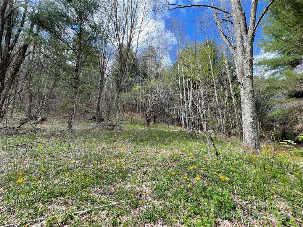1375 Swing Road Burnsville, NC 28714 - Photo 42 of 48 a view of outdoor space with trees all around