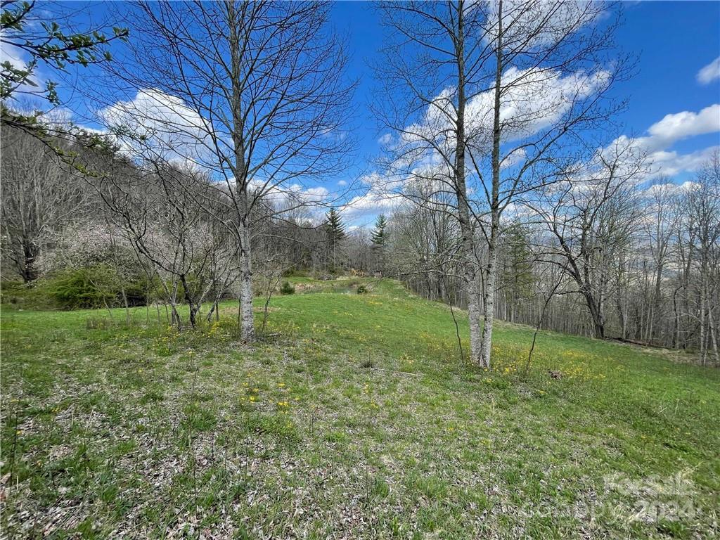 1375 Swing Road Burnsville, NC 28714 - Photo 44 of 48 a backyard of a house with lots of green space
