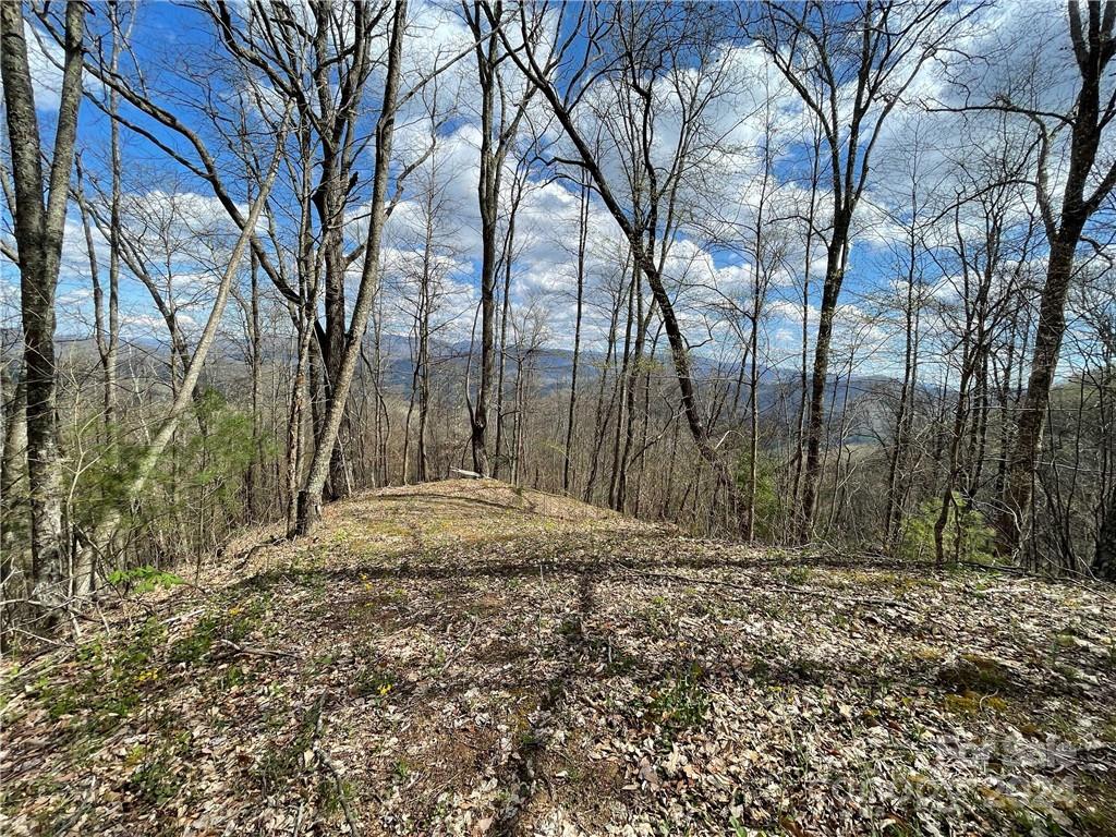 1375 Swing Road Burnsville, NC 28714 - Photo 45 of 48 a view of a backyard with large trees