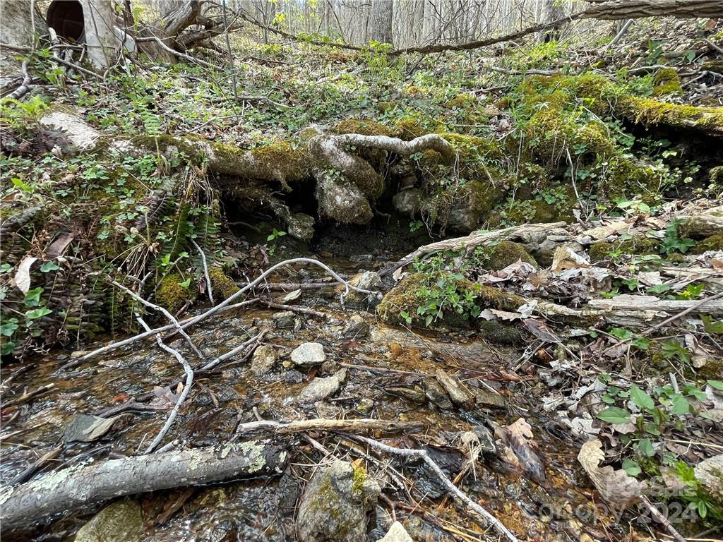 1375 Swing Road Burnsville, NC 28714 - Photo 47 of 48