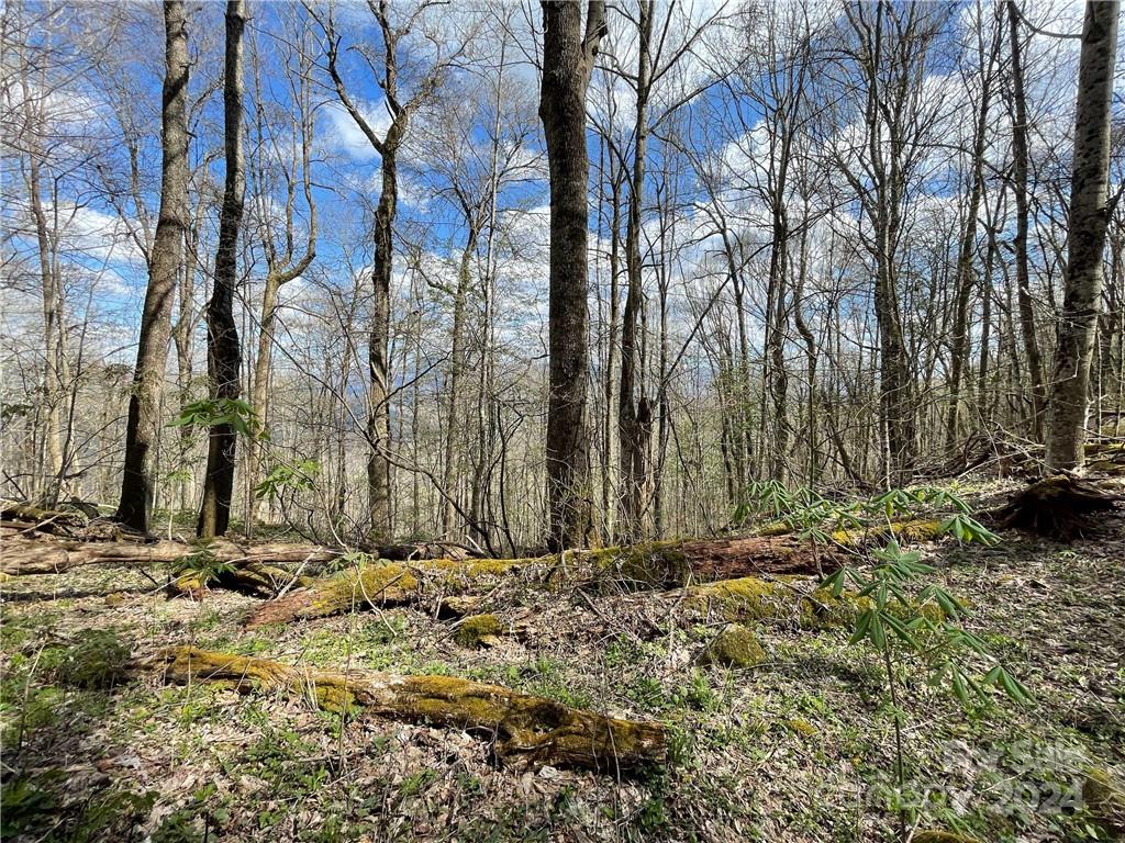 1375 Swing Road Burnsville, NC 28714 - Photo 48 of 48 a backyard of a house with lots of green space