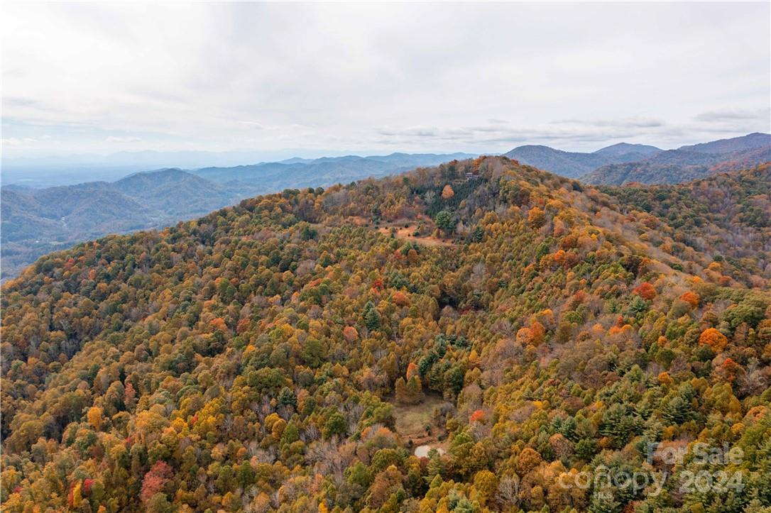 1375 Swing Road Burnsville, NC 28714 - Photo 5 of 48