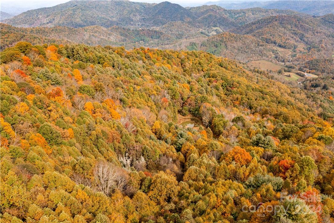 1375 Swing Road Burnsville, NC 28714 - Photo 8 of 48 a view of a mountain