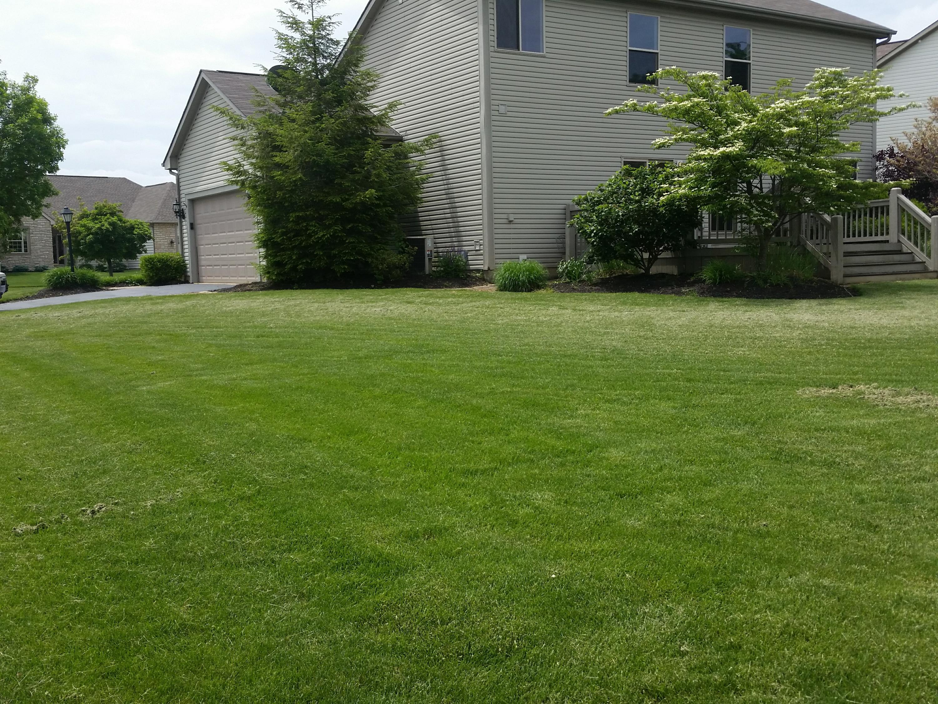 126 Runkle Drive Pataskala, OH 43062 - Photo 3 of 49