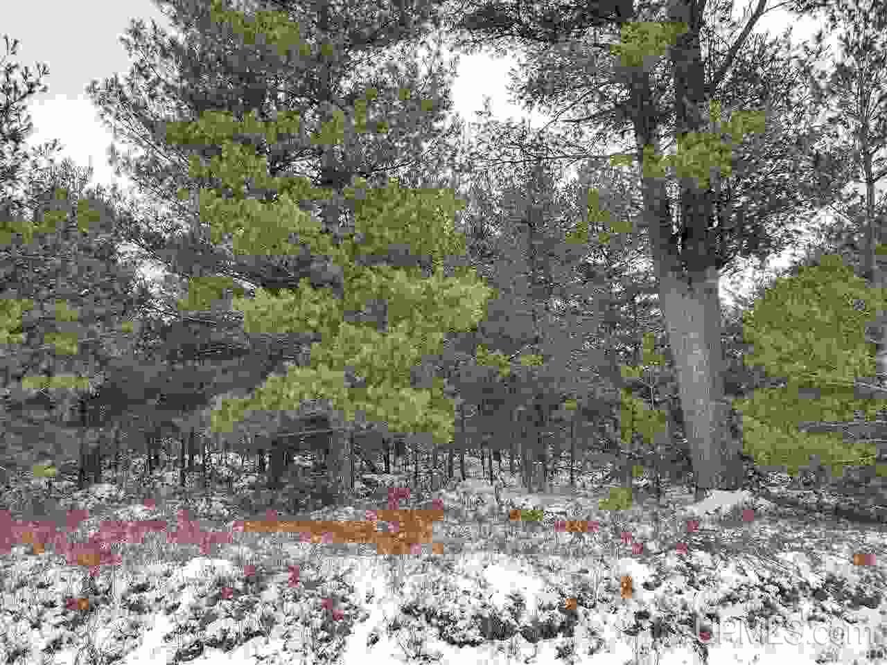 40 Acres Off Bryan Creek Road Ishpeming, MI 49849 - Photo 3 of 5