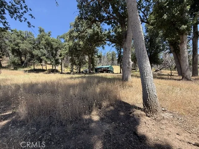 24 North 35 Road Paskenta, CA 96074 - Photo 32 of 41