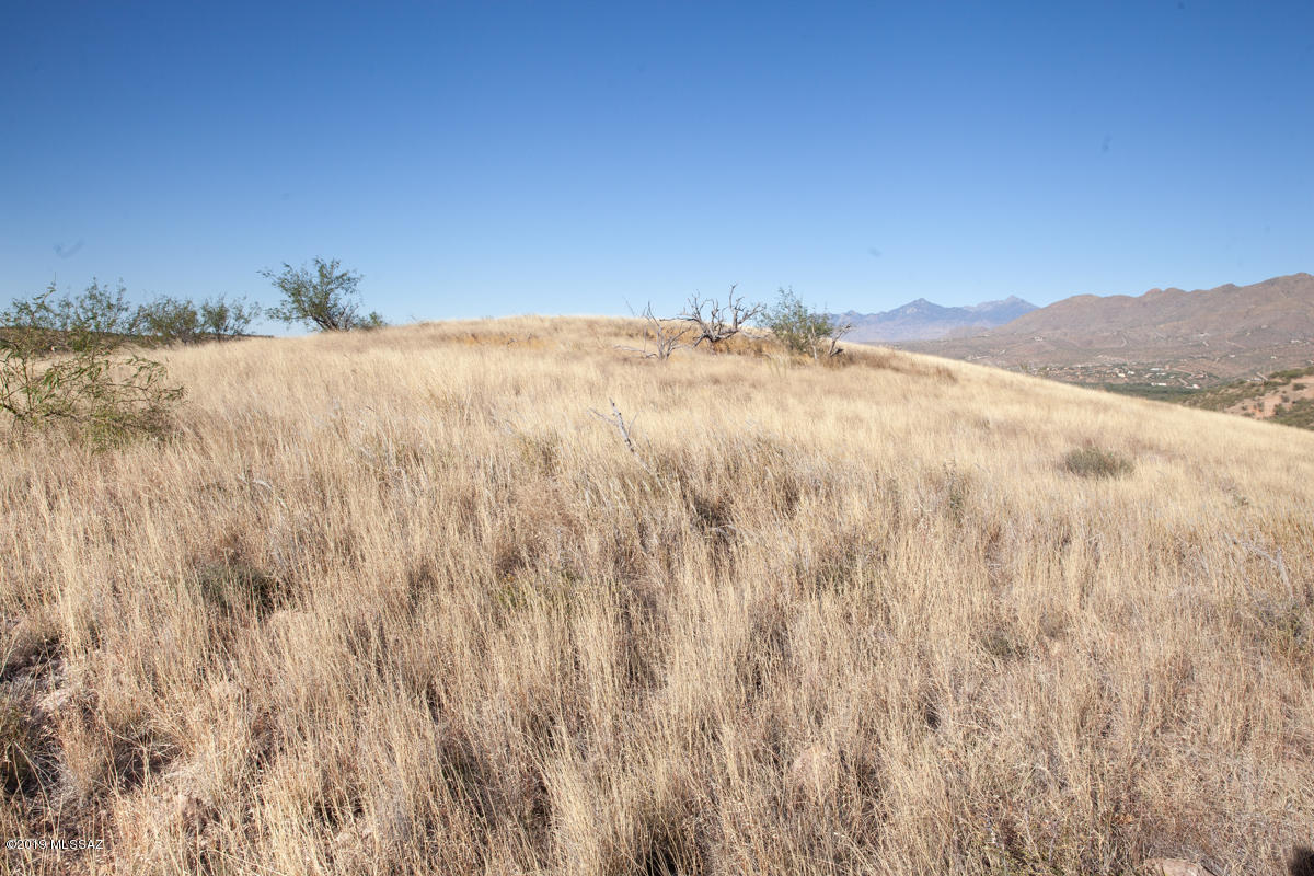 1363 Via Patricia, Unit 63 Rio Rico, AZ 85648 - Photo 2 of 8