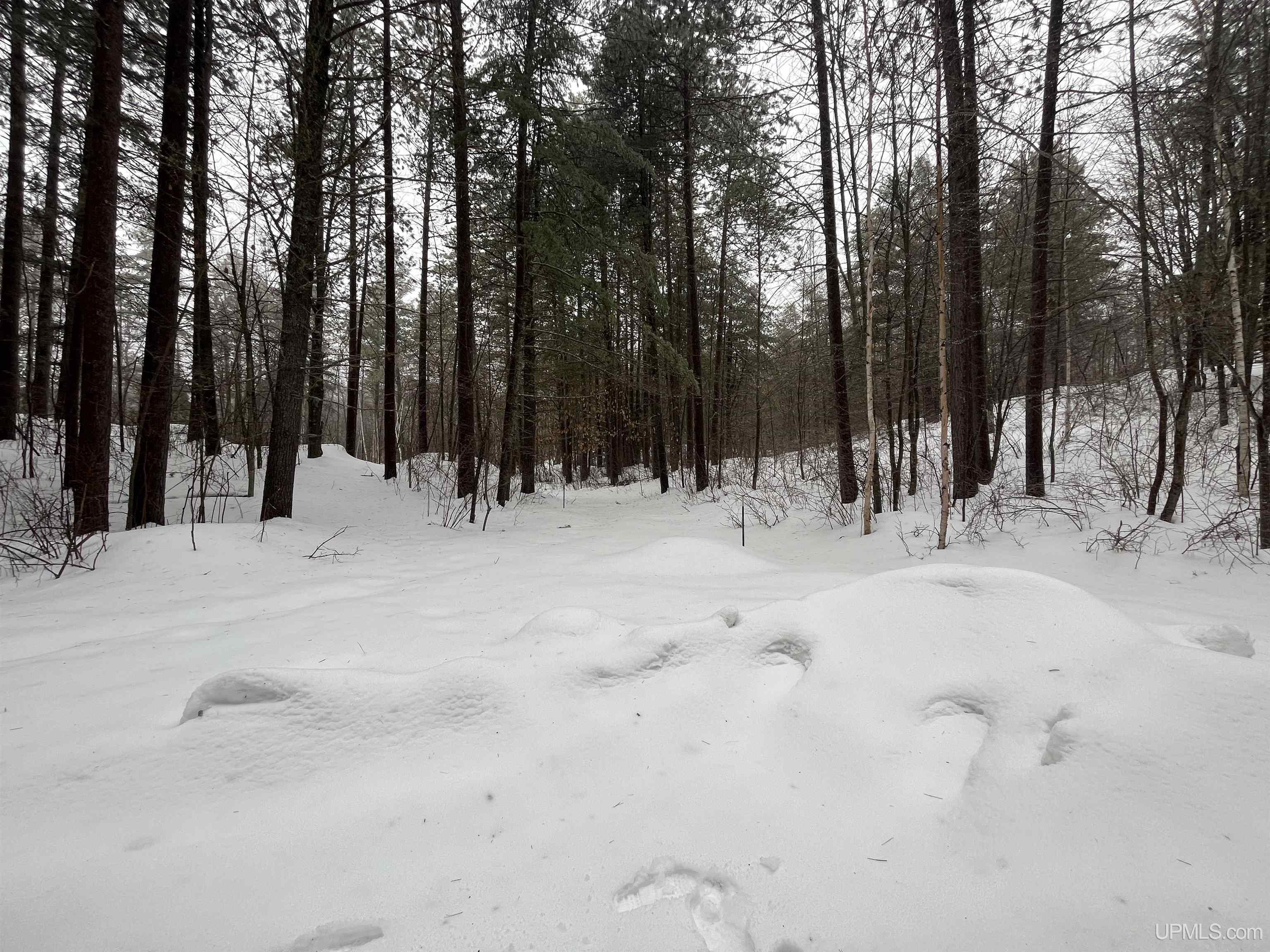 5365 Floodwood Road Republic, MI 49879 - Photo 38 of 53