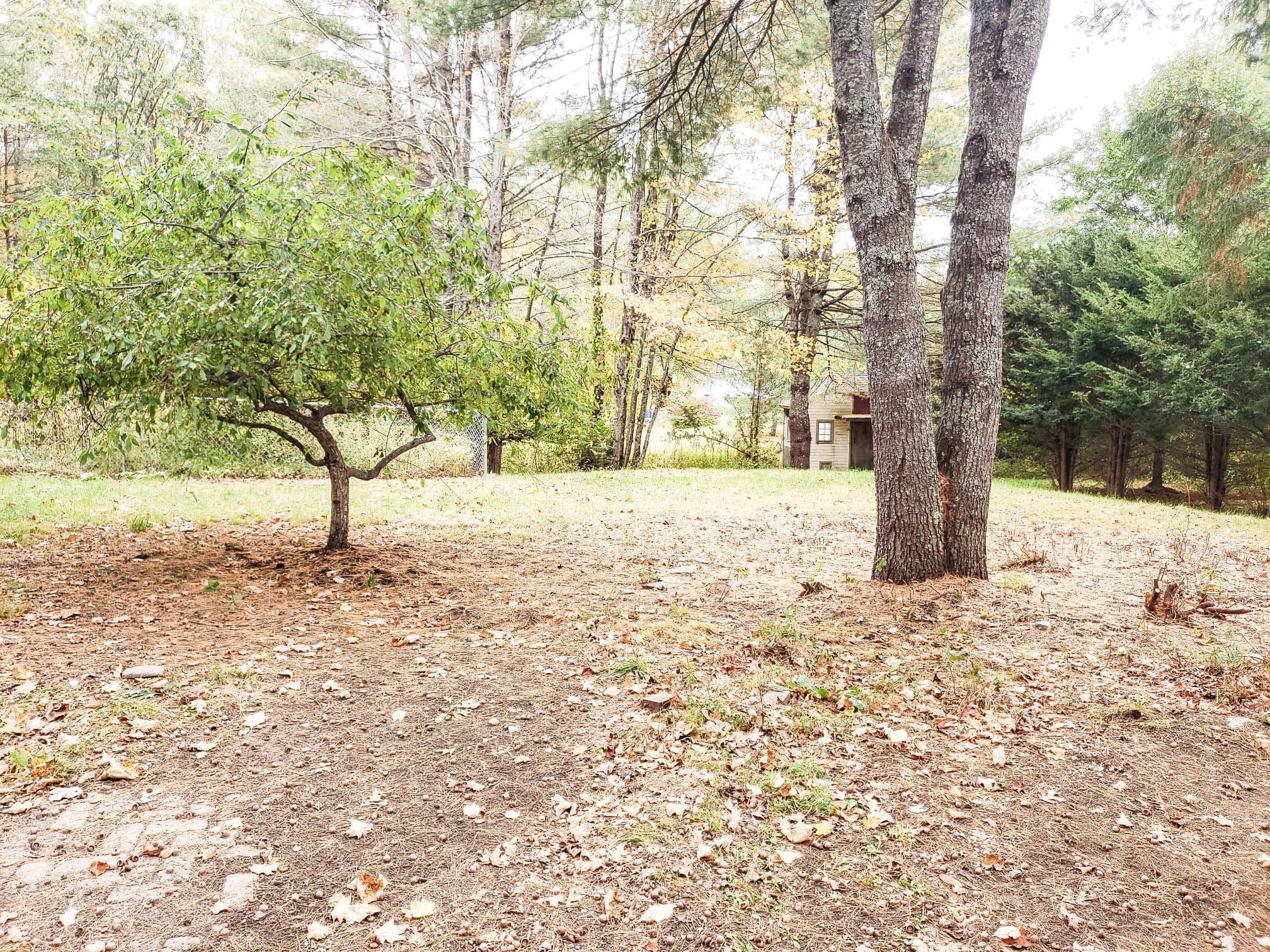 974 Duck Pond Road Westbrook, ME 04092 - Photo 16 of 52 71955126_340041030120258_341749289746799