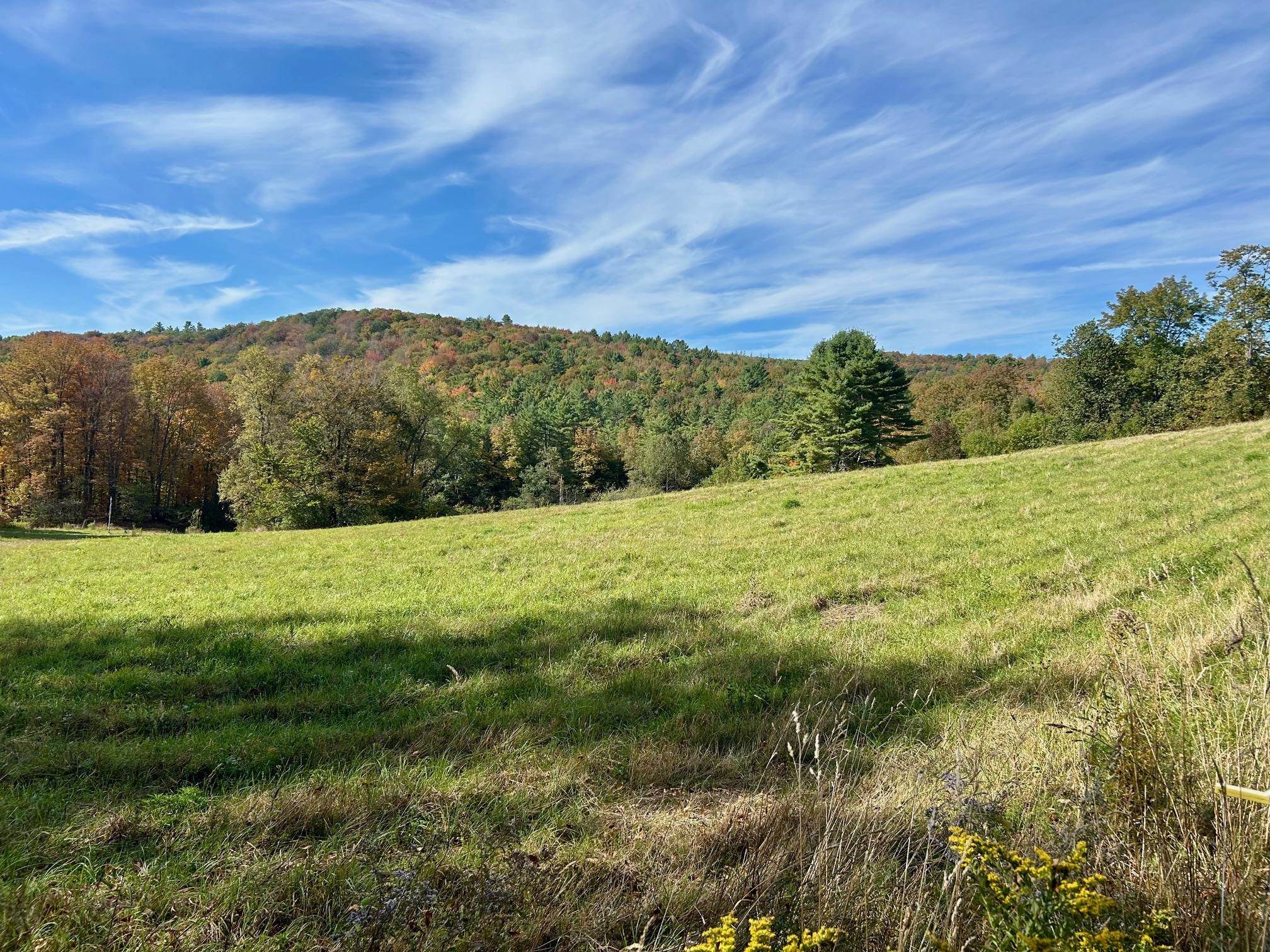 149 Fred Arnold Road Bethel, VT 05032 - Photo 51 of 55
