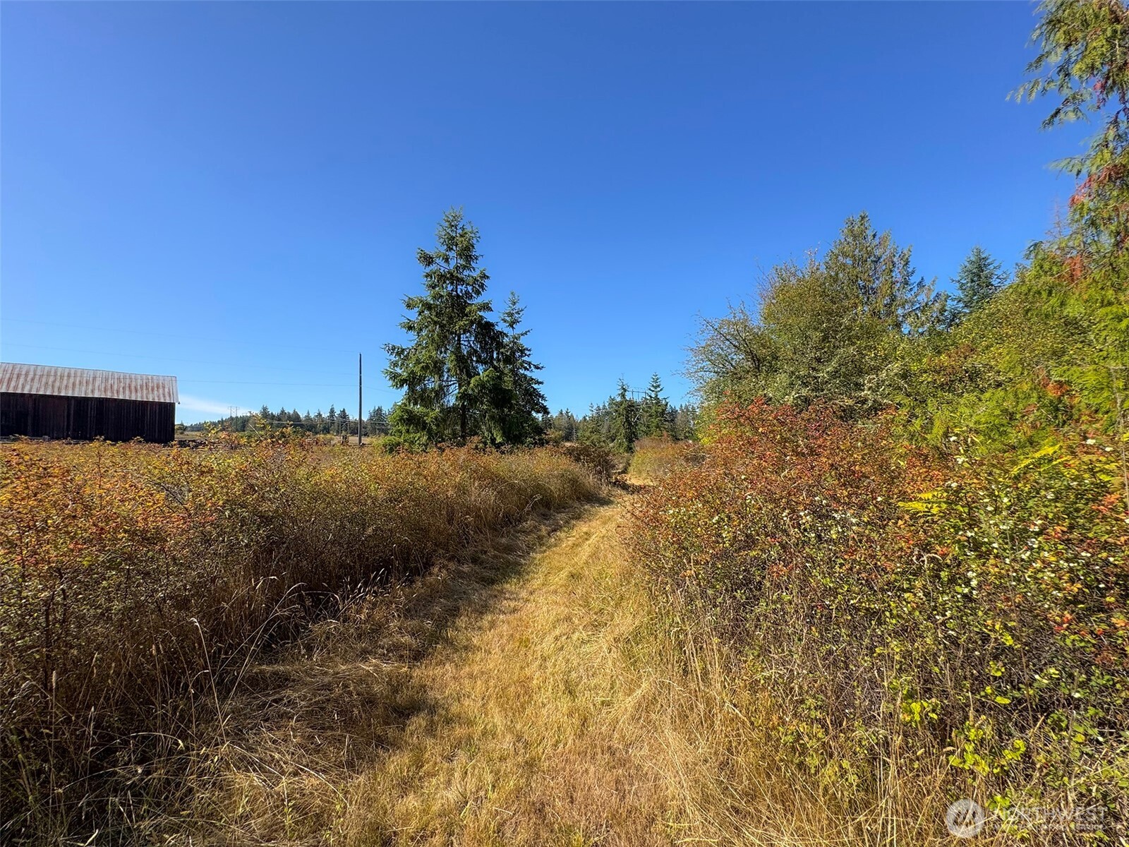 9999 Hooker Road Sequim, WA 98382 - Photo 29 of 40 Gallery Image 29