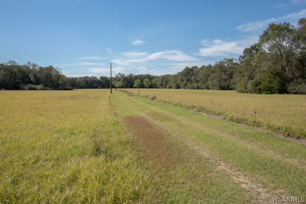 726 Spring Creek Road Geneva, AL 36340 - Photo 1 of 34 Gallery Image 1