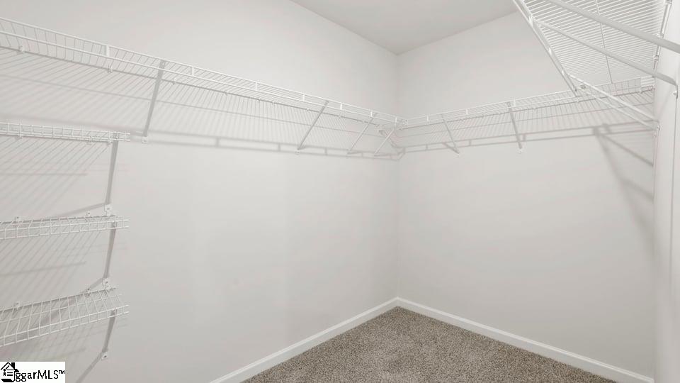 403 Boxbury Way Fountain Inn, SC 29644 - Photo 32 of 44 Gallery Image 32