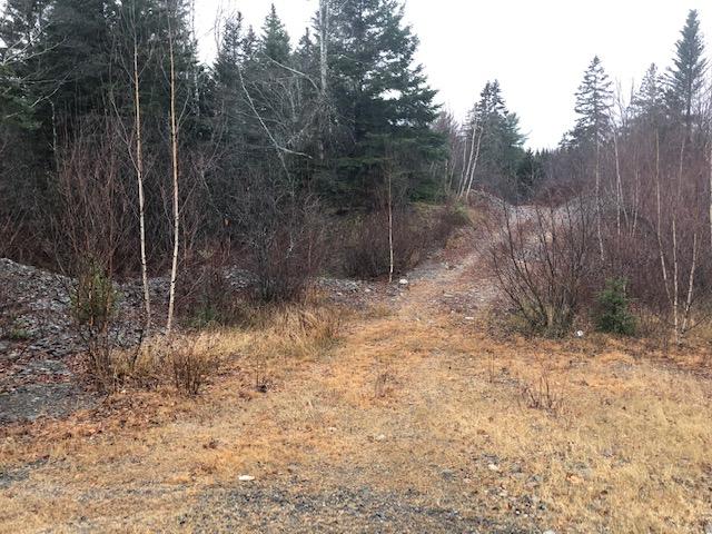 7 Dodge Road Whiting, ME 04691 - Photo 2 of 8 IMG_2902