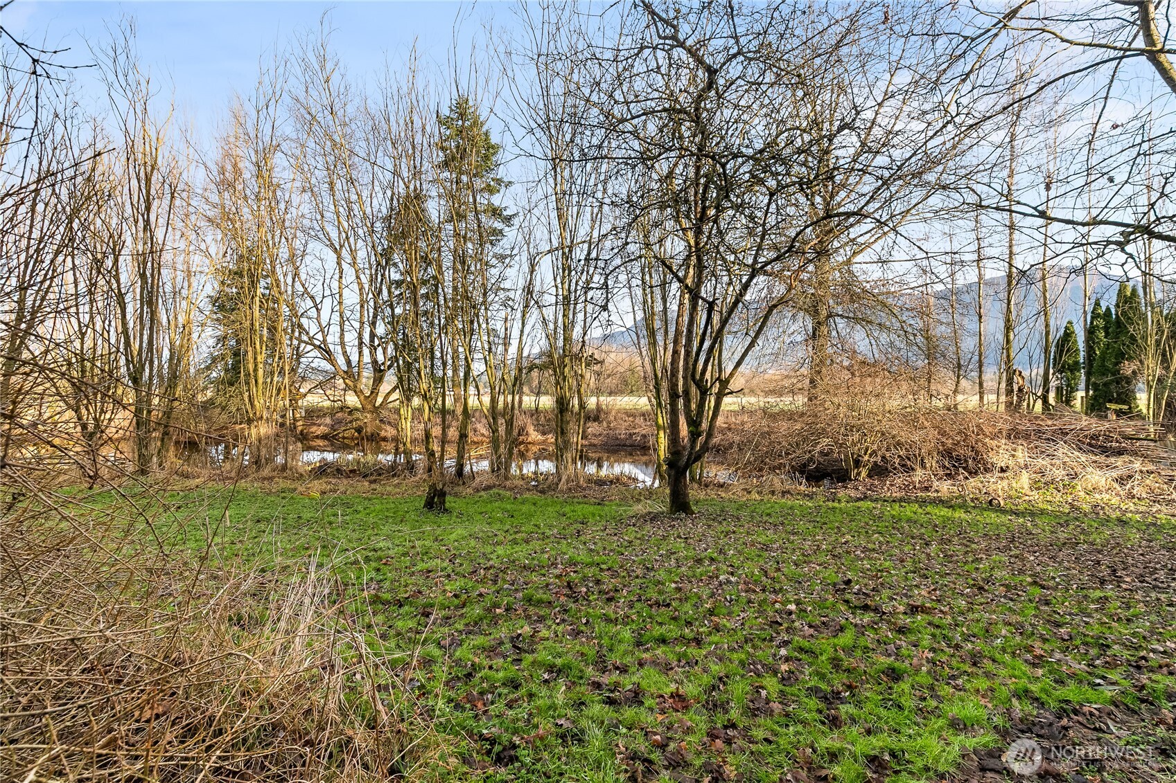7406 Oat Coles Road Everson, WA 98247 - Photo 38 of 40 Gallery Image 38