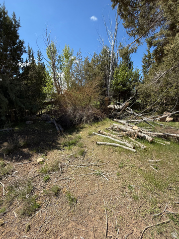 Undisclosed Address Spring City, UT 84662 - Photo 10 of 12 Image quality insufficient for description