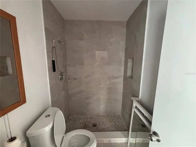 a bathroom with a shower and toilet