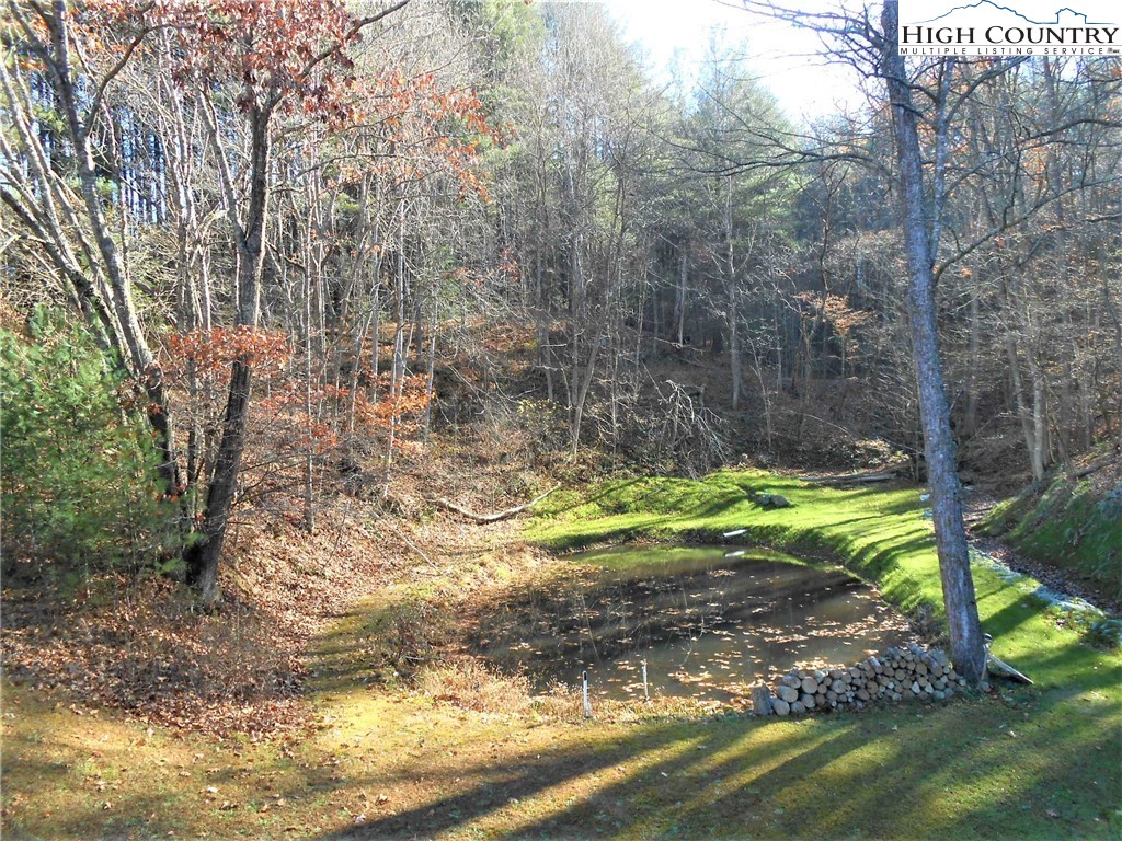 1030 Albert Phipps Road Crumpler, NC 28617 - Photo 28 of 39 Gallery Image 28