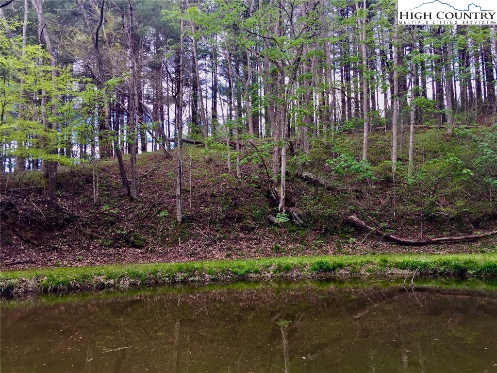 1030 Albert Phipps Road Crumpler, NC 28617 - Photo 30 of 39 Gallery Image 30
