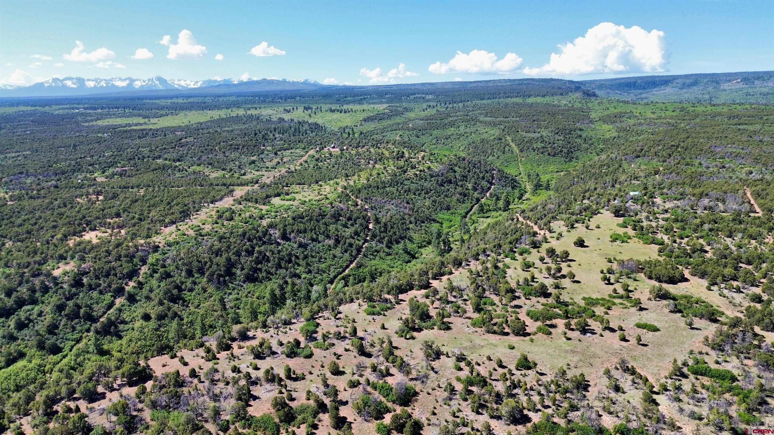 1165 Timber Ridge Road Montrose, CO 81403 - Photo 26 of 44 a view of a city