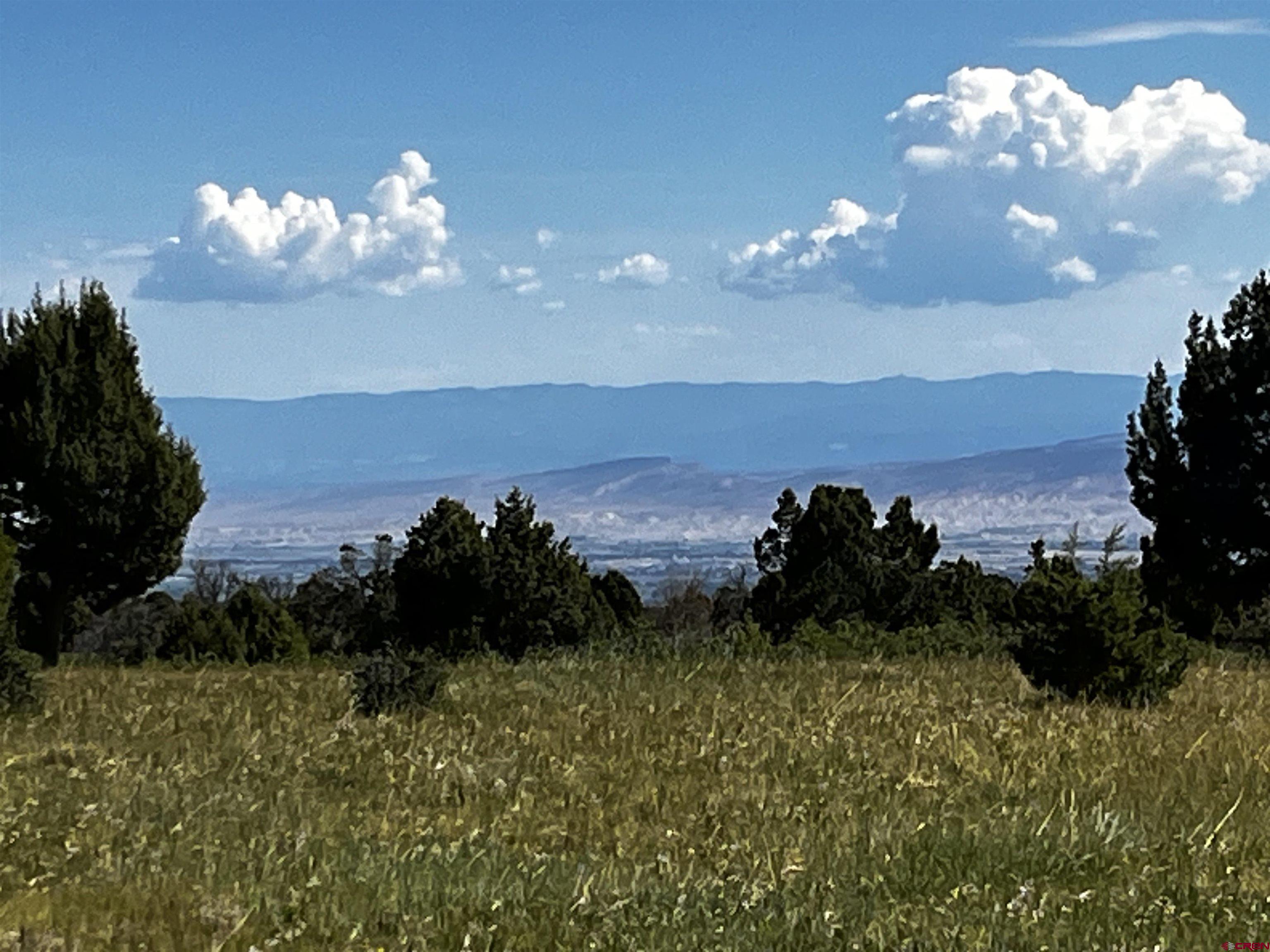 1165 Timber Ridge Road Montrose, CO 81403 - Photo 40 of 44