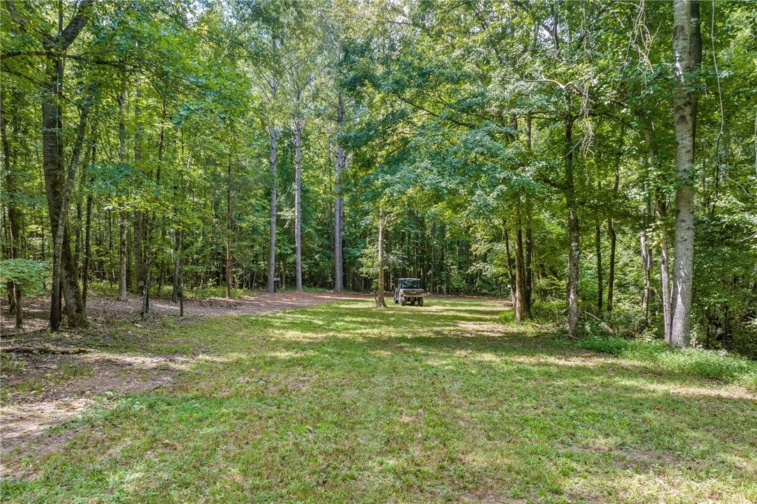 6669 West Farmville Road Waverly, AL 36879 - Photo 37 of 41 Gallery Image 37
