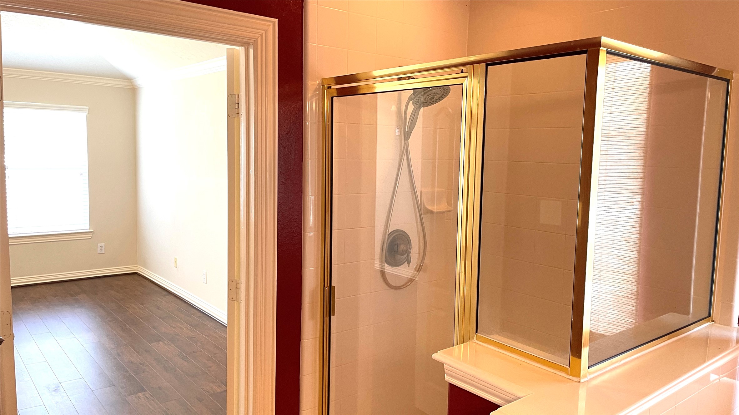 3518 Ewing Drive Manvel, TX 77578 - Photo 42 of 50 a bathroom with a shower and a window
