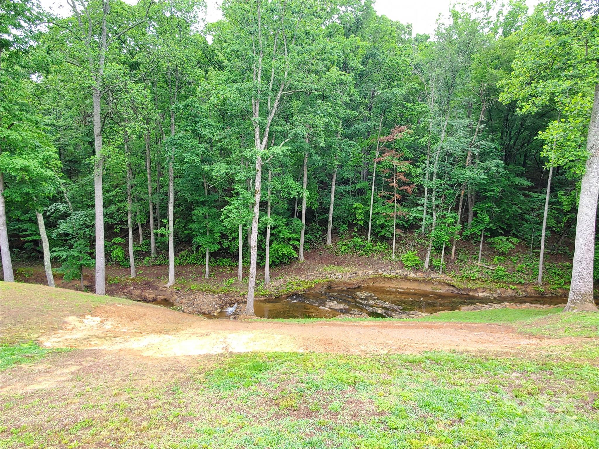 391 Ted Smith Road Rutherfordton, NC 28139 - Photo 16 of 35