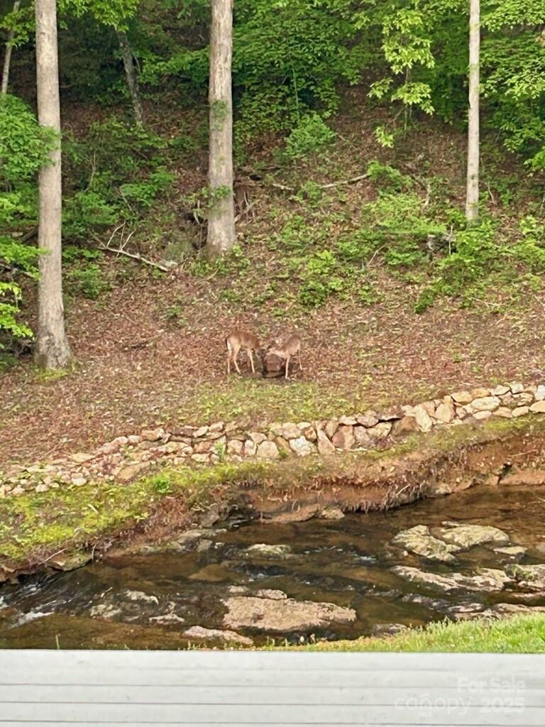 391 Ted Smith Road Rutherfordton, NC 28139 - Photo 17 of 35