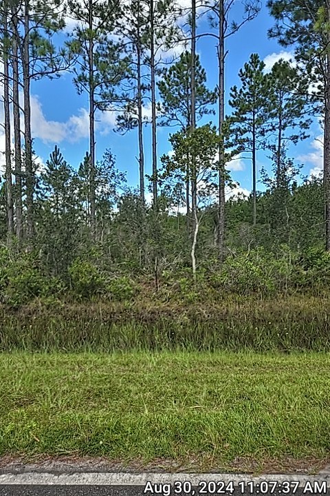 0 Swamp Road Waycross, GA 31503 - Photo 12 of 12