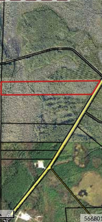 0 Swamp Road Waycross, GA 31503 - Photo 2 of 12