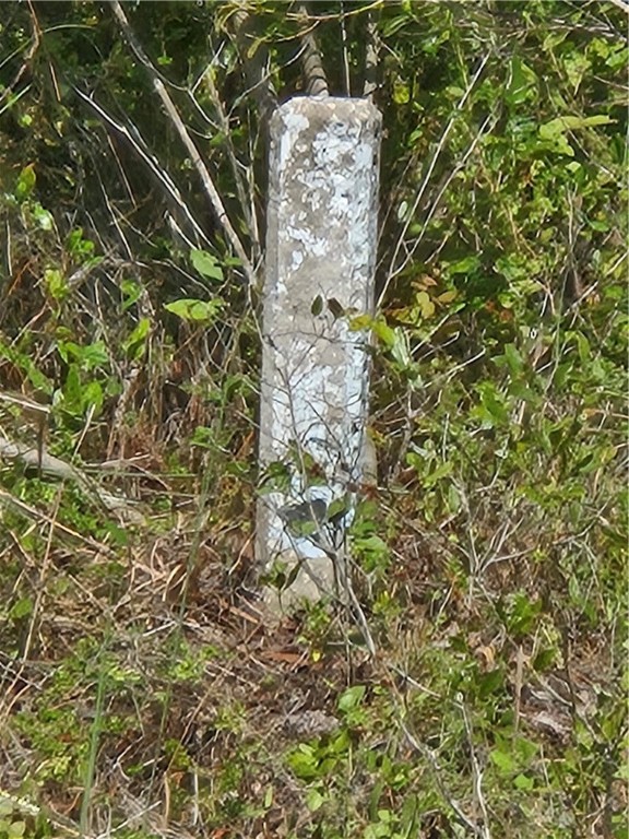 0 Swamp Road Waycross, GA 31503 - Photo 3 of 12