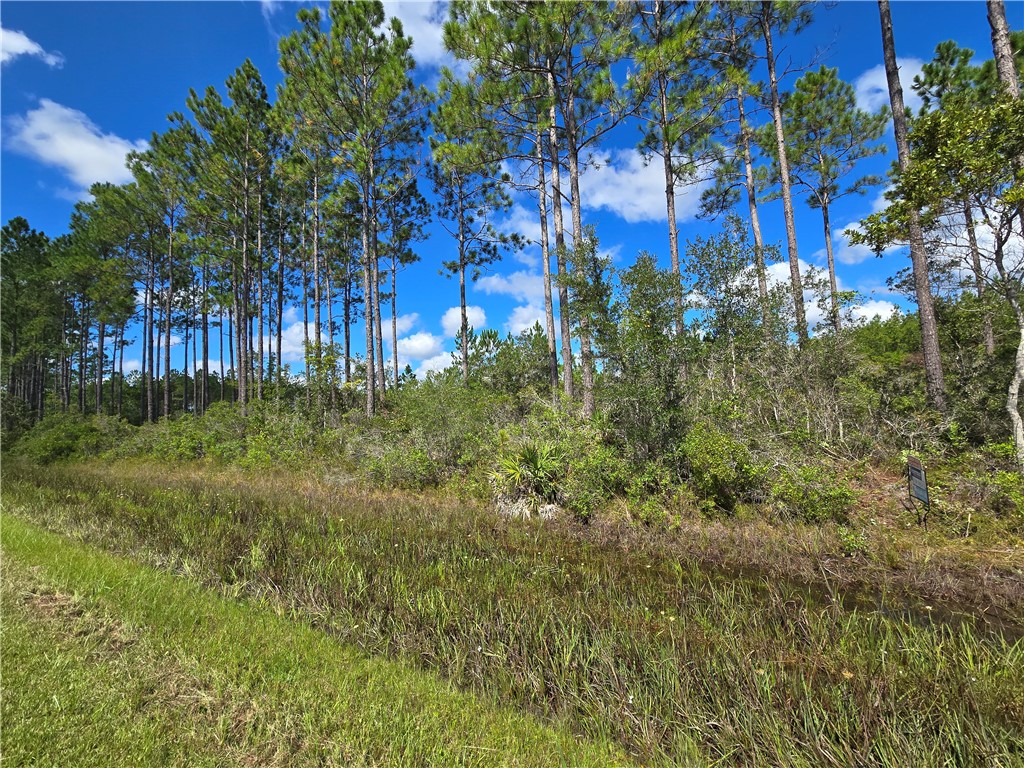 0 Swamp Road Waycross, GA 31503 - Photo 5 of 12