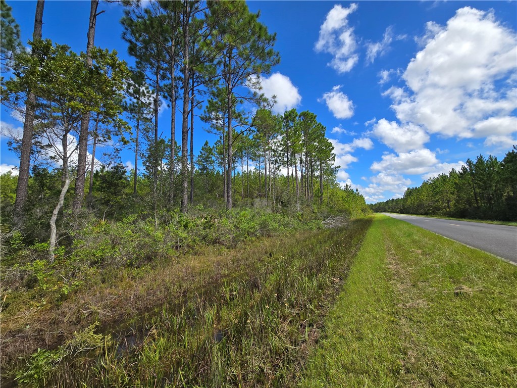 0 Swamp Road Waycross, GA 31503 - Photo 7 of 12