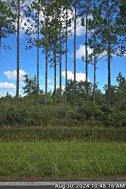 0 Swamp Road Waycross, GA 31503 - Photo 8 of 12