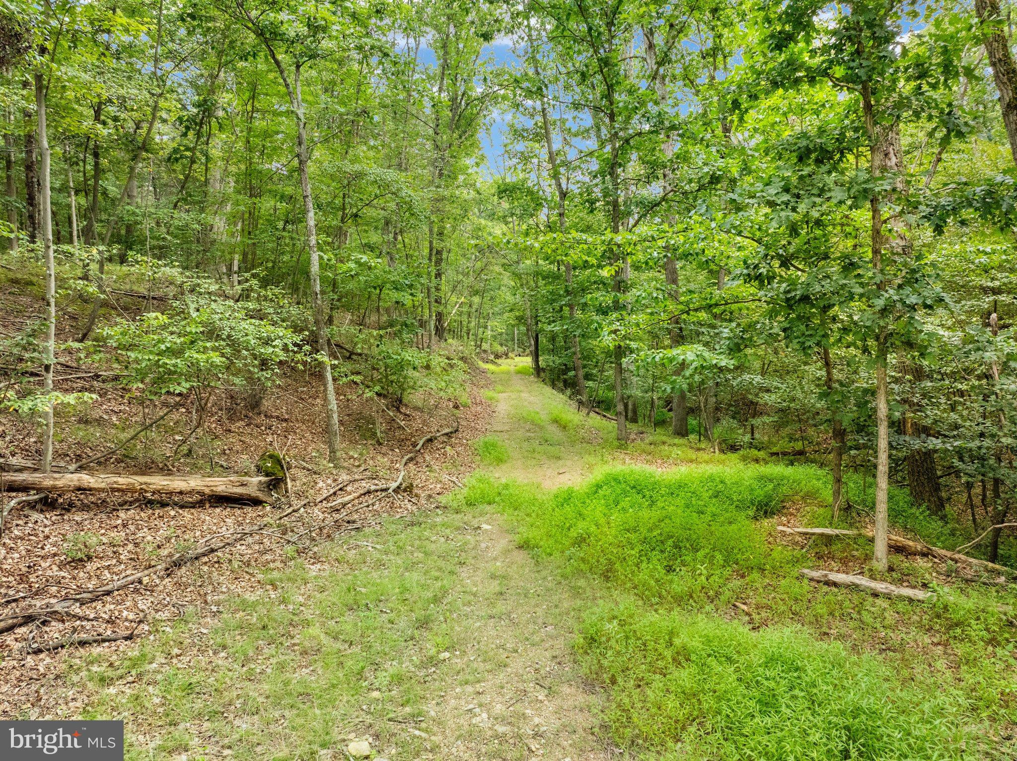 Apprentice Way Gerrardstown, WV 25420 - Photo 21 of 21 DJI_20260813174053_0102_D_Lot 29 Section 1 12.59 a