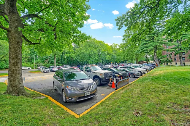 a view of a garden with a fountain