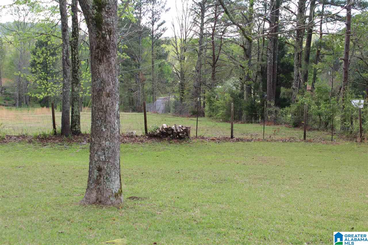 760 McCay Road Locust Fork, AL 35097 - Photo 4 of 27