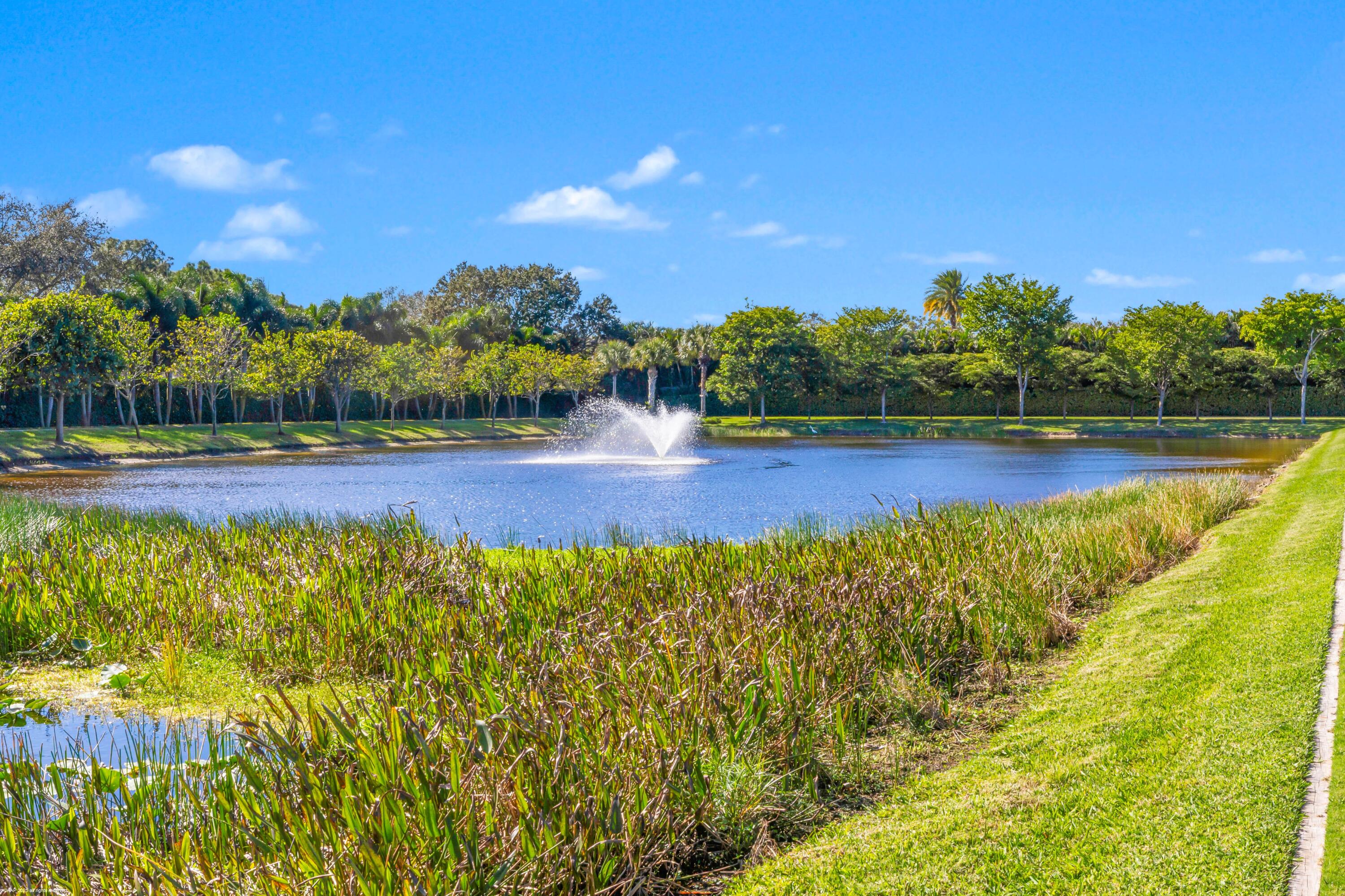 15527 Imperial Point Lane Wellington, FL 33414 - Photo 169 of 184 a view of swimming pool with seating area and trees in the background
