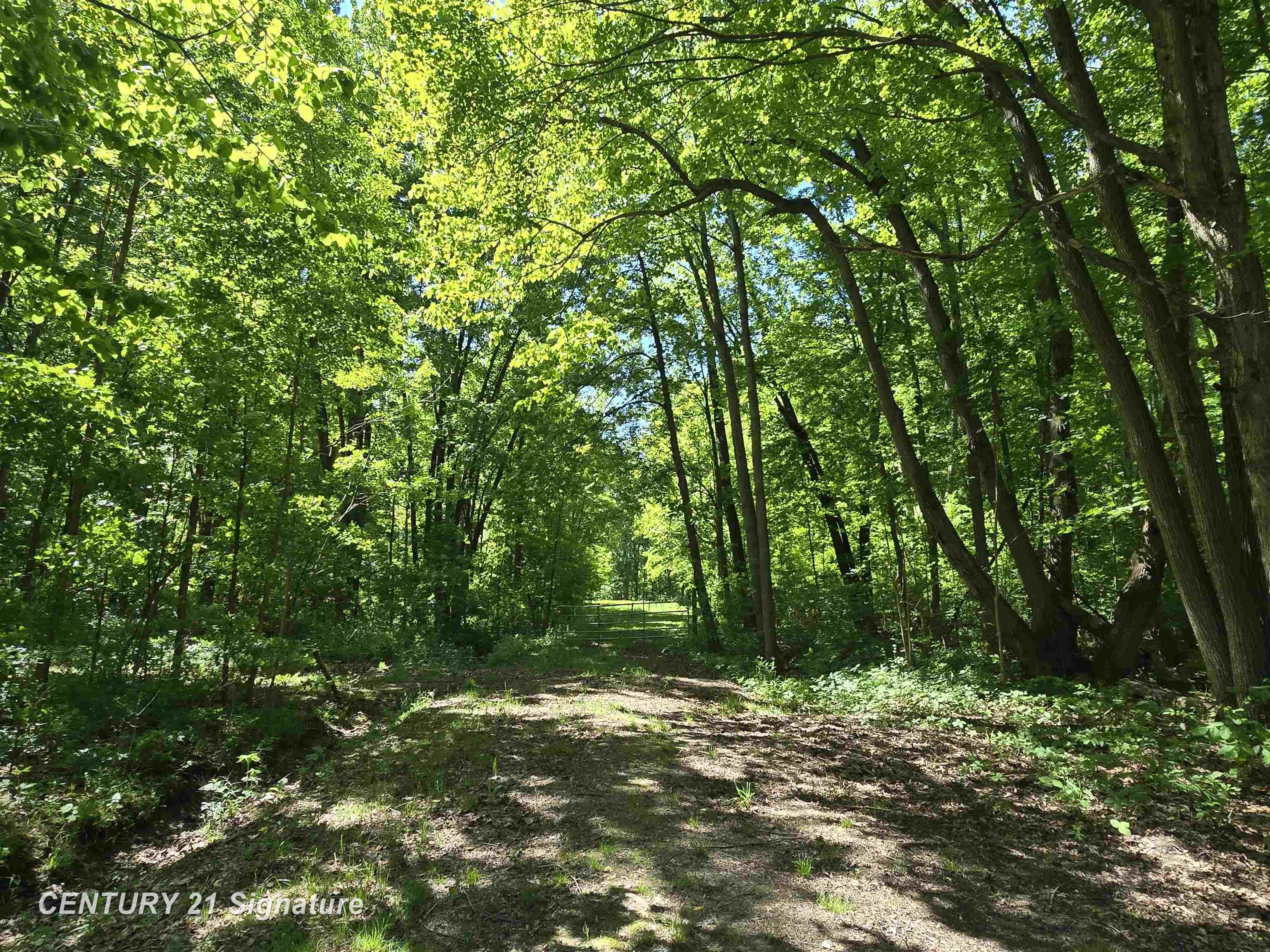1162 East Farrand Road Clio, MI 48420 - Photo 61 of 88
