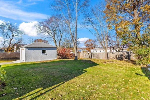 a view of a big yard with plants and large trees