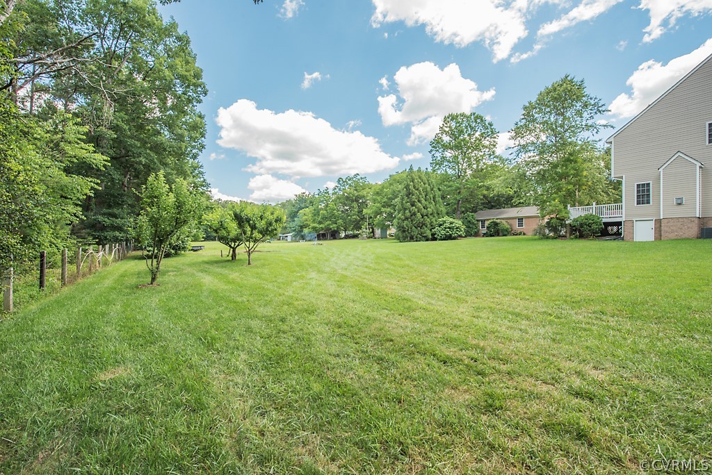 11710 Taplow Road Midlothian, VA 23112 - Photo 6 of 48 a view of a tree in a yard