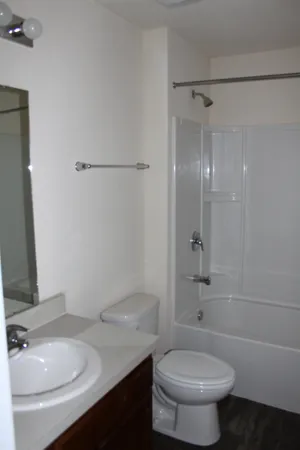 a bathroom with a sink toilet vanity and shower