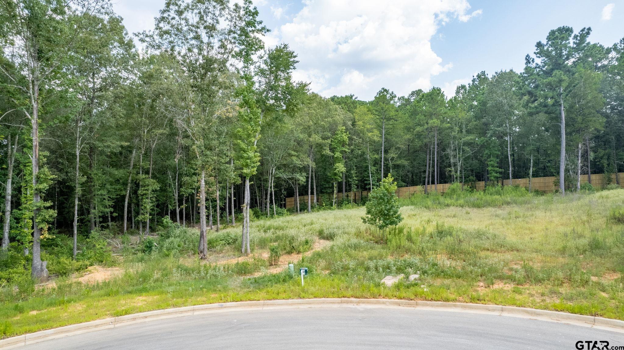 9299 Caddo Rdg Cove Tyler, TX 75703 - Photo 19 of 23