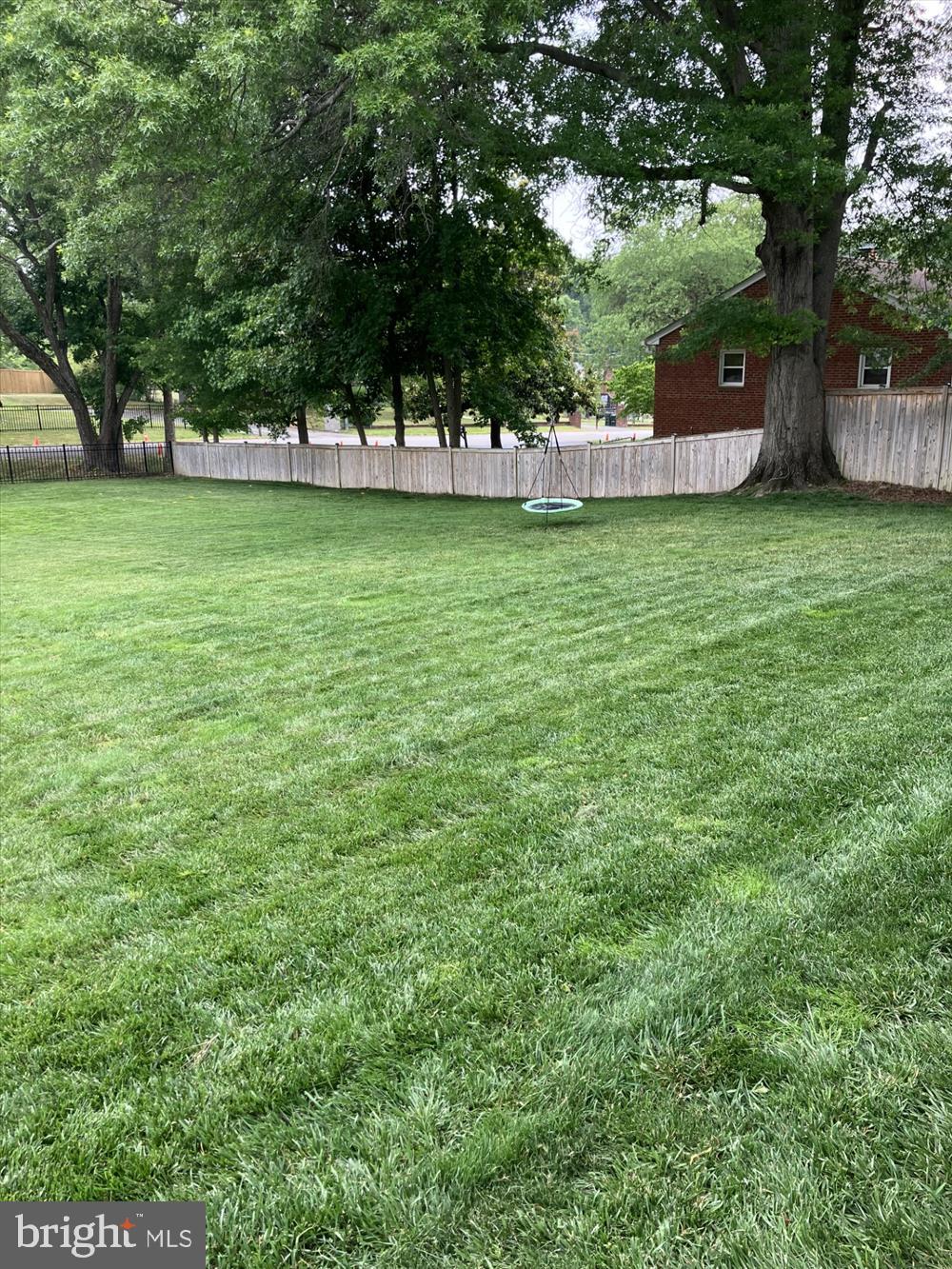 5216 Old Mill Road Alexandria, VA 22309 - Photo 75 of 82 Lush Lawn
